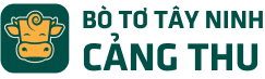 BO TO TAY NINH CANG THU
